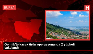 Gemlik’te kaçak eser operasyonu: 2 zanlı gözaltına alındı