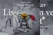 11 yıldır satışta olan kitap muzır neşriyat sayıldı