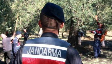 Balıkesir’de Zeytin Hırsızlığına Karşı Jandarma Tedbir Alıyor