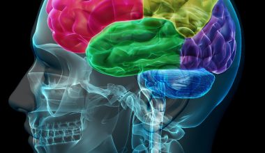 Bu 10 özelliği taşıyorsanız: Üstün zekalısınız! İşte üstün zekalıların fark yaratan özellikleri