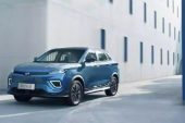 Çinli araba üreticisi WM Motor, iflas müracaatında bulundu