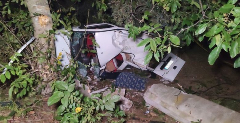 Domuza çarpan hafif ticari araçtaki 2 kişi öldü