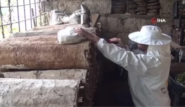 Dünyaca ünlü Bitlis karakovan balının hasadına başlandı