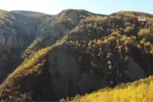 Erzincan’da sonbaharda renk cümbüşü