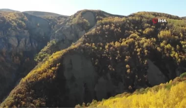Erzincan’da sonbaharda renk cümbüşü