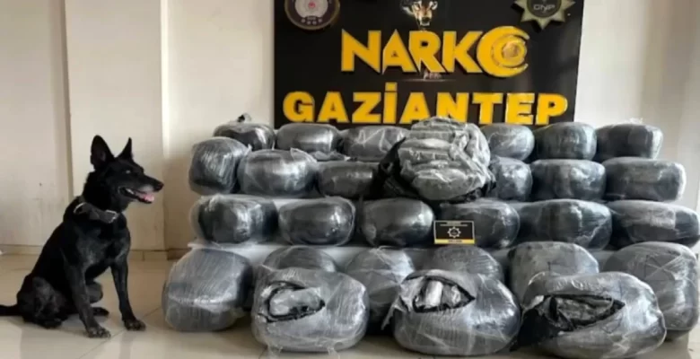 Gaziantep’te Zehir Tacirlerine Operasyon: 20 Kuşkulu Yakalandı