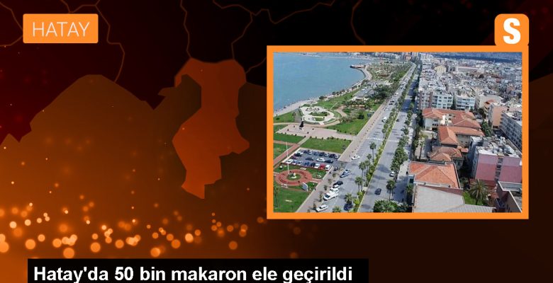 Hatay’da 50 bin makaron ele geçirildi