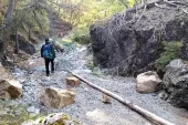 Kütahya’da kayıp zihinsel engelli yaşlı adam için arama çalışması başlatıldı