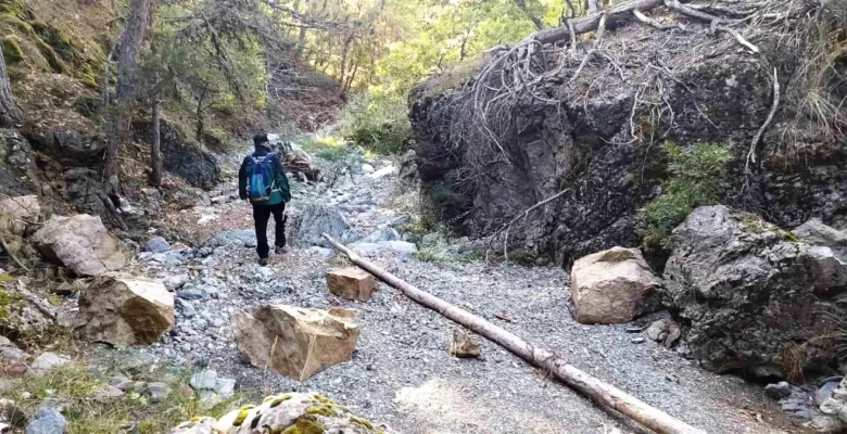 Kütahya’da kayıp zihinsel engelli yaşlı adam için arama çalışması başlatıldı