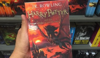 Macaristan’da sansür: Harry Potter kitapları “uygunsuz” olarak görülüyor