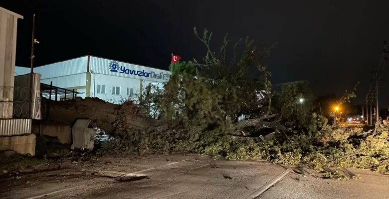Bursa’da Kuvvetli Lodos Tesirli Oldu: Ağaçlar Yola Devrildi, Çatılar Uçtu