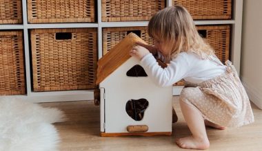 Çocuk gelişminde dikkat edilecekler (2-4 ve 4-6 yaş)