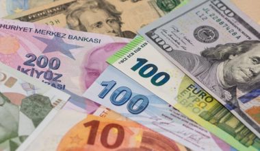 Dolar ve Euro rekor tazeledi
