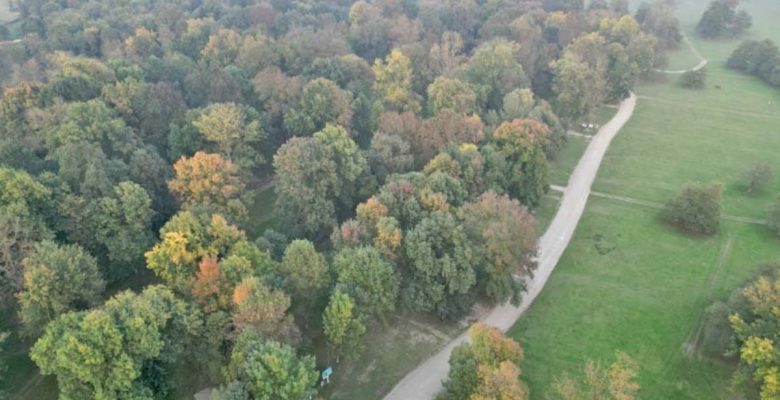 Gölyaka Kültür Parkı’nda sis ve sonbahar renkleri buluştu