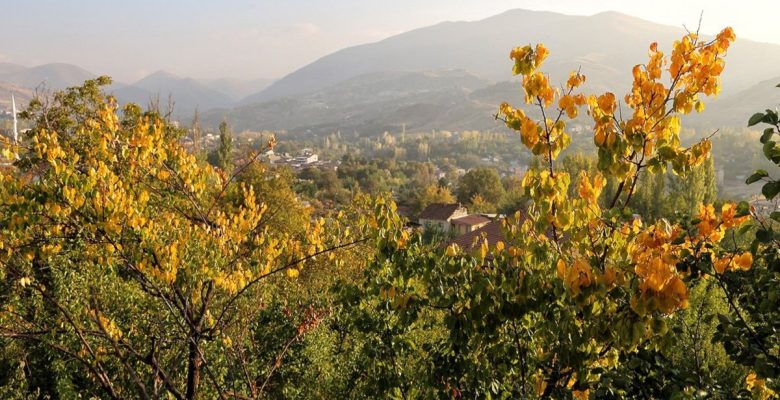 Malatya sarı sıcak