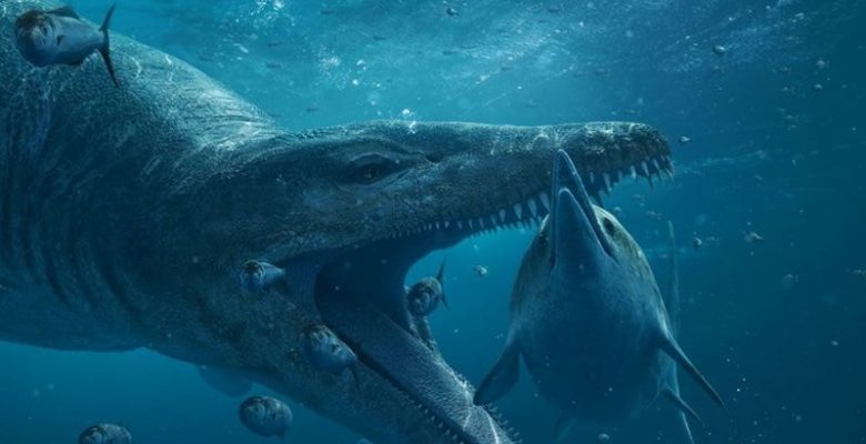 150 milyon yıl evvel yaşamış deniz canavarının kafatası bulundu