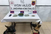 Aydın’da Uyuşturucu Operasyonu: 22 Kuşkulu Yakalandı
