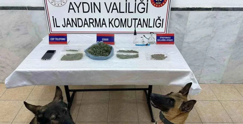 Aydın’da Uyuşturucu Operasyonu: 22 Kuşkulu Yakalandı