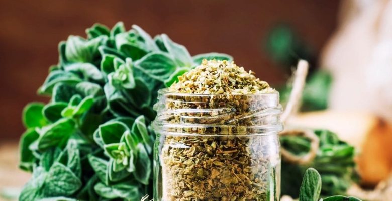 Bilimsel olarak kanıtlandı! Oreganun’un kanseri önleyici etkisi…