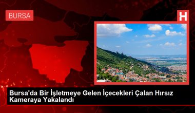 Bursa’da Bir İşletmeye Gelen İçecekleri Çalan Hırsız Kameraya Yakalandı