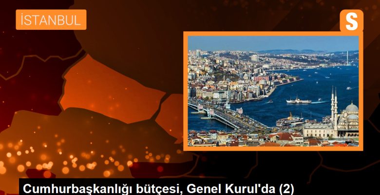 Cumhurbaşkanlığı bütçesi, Genel Kurul’da (2)
