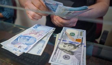 Dolar/TL rekor tazeledi