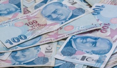 Hazine 14,6 milyar lira borçlandı