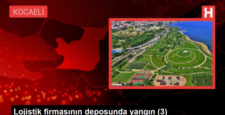 Lojistik firmasının deposunda yangın (3)