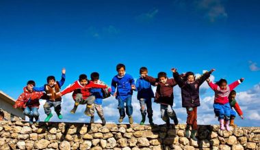 PISA raporunu sansürlediler