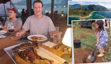 Mark Zuckerberg hayvancılığa başlıyor: Bira ve makademya fıstığı ile besleyecek