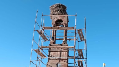 Tarihi çan kulesinin onarımı için leyleklerin göçü beklendi