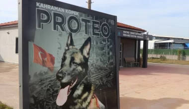 Adıyaman’da Ölen Köpeğin İsmiyle Rehabilitasyon Merkezi