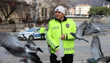 Amasya’da trafik polisi güvercinleri besledi