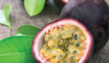 Çarkıfeleğin mucizevi yararlarını duyunca çok şaşıracaksınız!