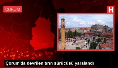 Çorum’un Alaca ilçesinde yem yüklü tır devrildi, şoför yaralandı