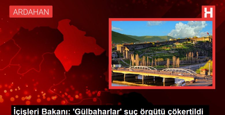 İçişleri Bakanı: ‘Gülbaharlar’ cürüm örgütü çökertildi