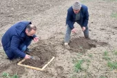 Kütahya’da Hububat Ekili Alanlarda Ziyanlı Böcek Tespit Edildi