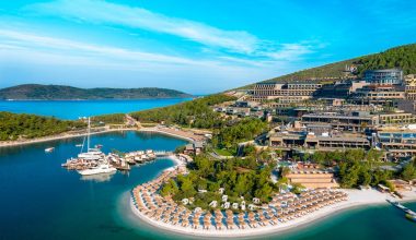 Yanan alana otel, ormanlık alana villa