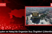 Aydın ve Hatay’da Organize Kabahat Örgütleri Çökertildi
