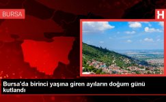 Bursa’da Ayıların Doğum Günü Kutlandı