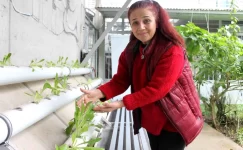 Hataylı bayan, Tayvanlı öğrencilerin topraksız tarım projesiyle gelir elde ediyor
